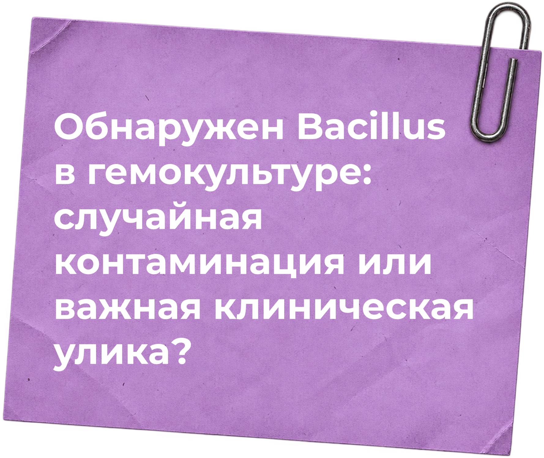 Лонгрид